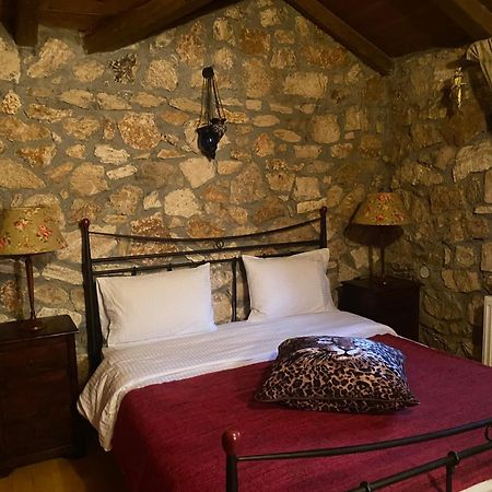 Archontiko Fiamegou Hotel&Spa Synikia Mesi Trikalon Luaran gambar